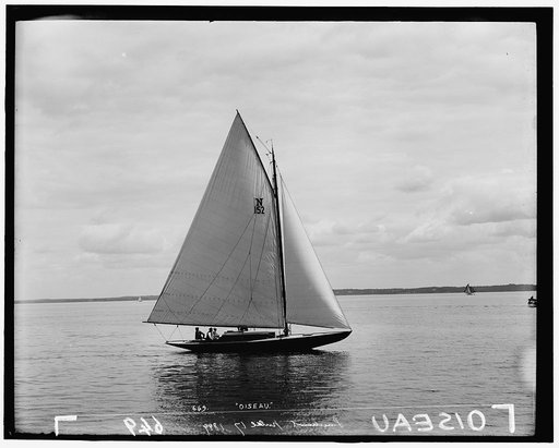 Oiseau