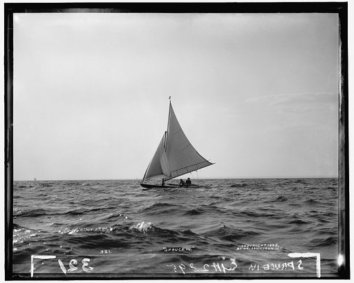 Spruce IV