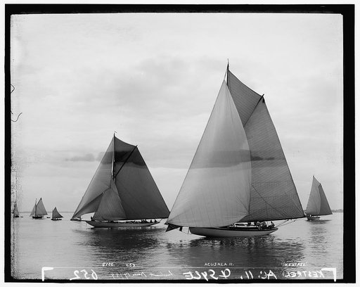 Syce, Acushla II, [and] Kestrel