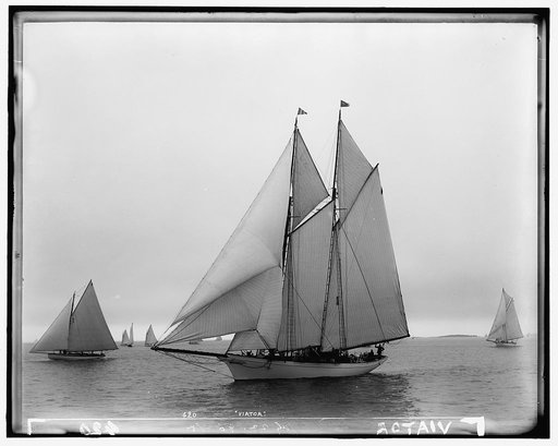 Viator