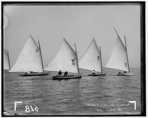 Minnetonka, Cora, Lark, [and] Lobster