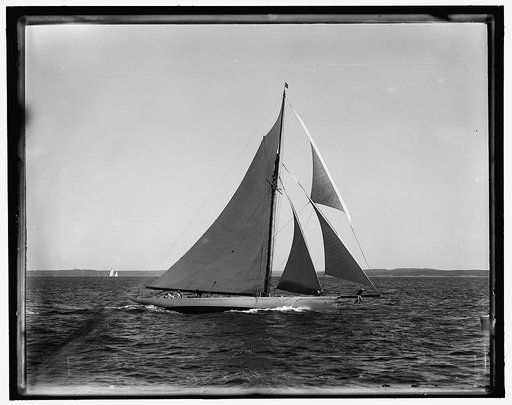 Syce, Larchmont