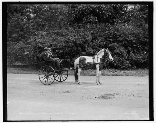 Pony cart, Belle Isle Park, Detroit, Mich.