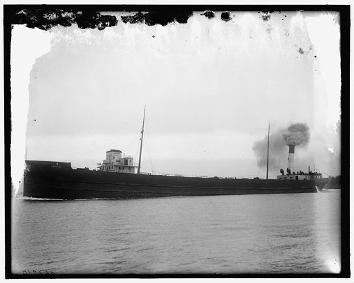 Coralia, Great Lakes