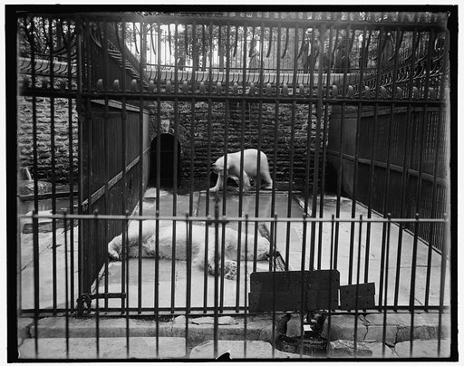 Bear pit, Belle Isle Park, Detroit, Mich.