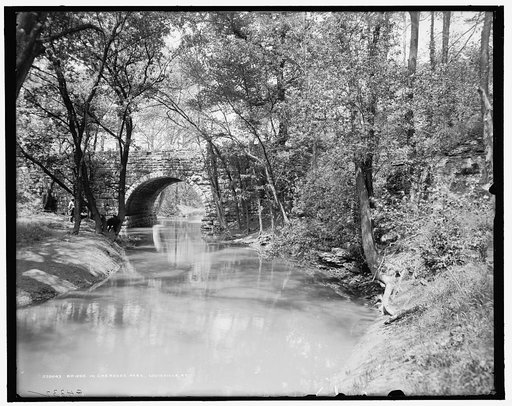 Bridge in Cherokee Park, Louisville, Ky.