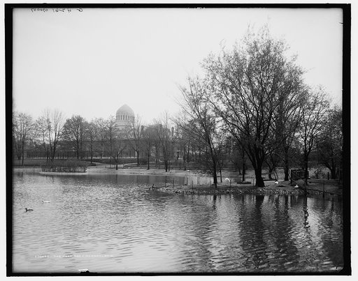 The Lake, zoo, Cincinnati, Ohio