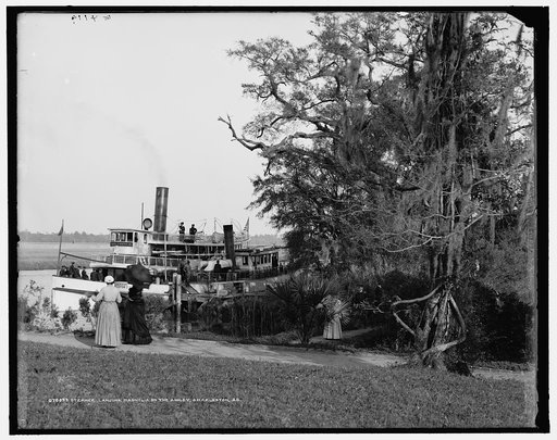 Steamer landing, Magnolia-on-the-Ashley, Charleston, S.C.
