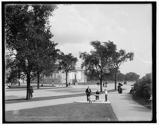 Driveway near Field Museum [of Natural History], Jackson Park, Chicago, Ill.