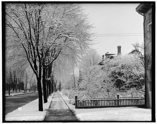 The City dressed for her wedding with winter