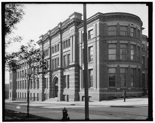 Wistar Institute of Anatomy, U. of Pa., Philadelphia, Pa.