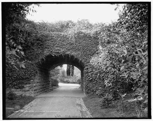 Ivy arch bridge in Delaware Park, Buffalo, N.Y.
