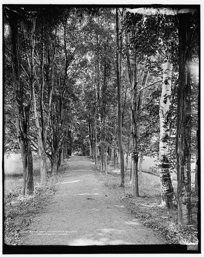 Shady path, Mt. [Mount] Holyoke College, South Hadley,Mass.