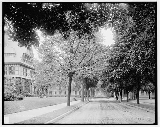 Elm Street, Holyokke [sic], Mass.