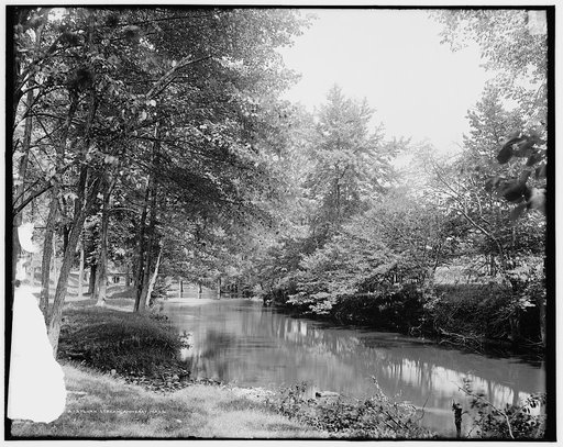 A Sylvan stream, Amherst, Mass.