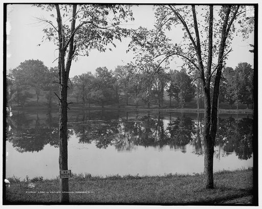 Lake in asylum grounds, Concord, N.H.