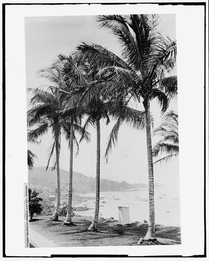 Island of Taboga and bay, Panama
