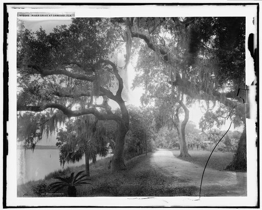 River Drive at Ormond, Fla.