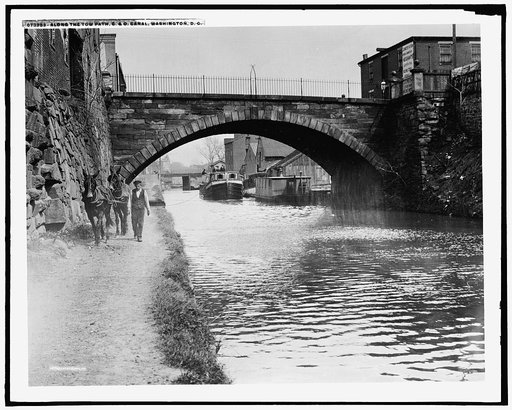 Along the towpath, C & O Canal, Washington, D.C.