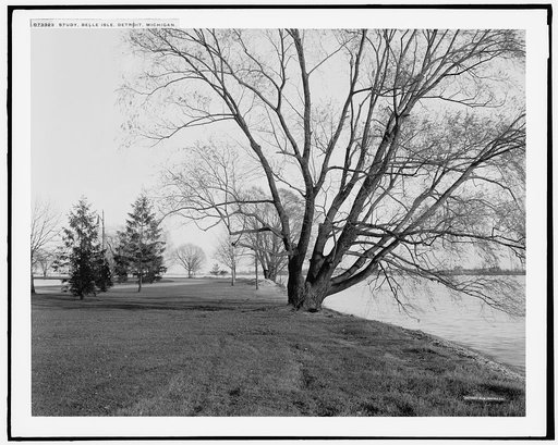 Study, Belle Isle [Park], Detroit, Michigan