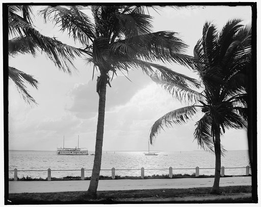 Sunrise or moonlight on the Miami River, Miami, Fla.