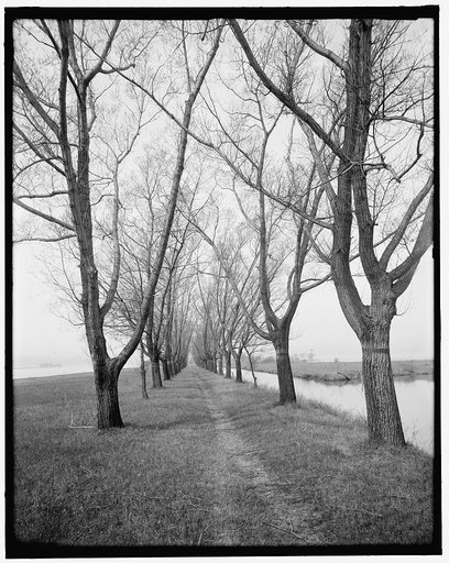 Willow Ave., Star Island, St. Clair Flats, Mich.