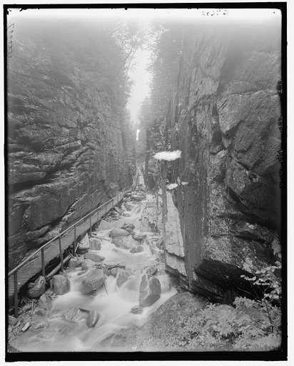 Looking up the flume, Franconia Notch, White Mts., N.H.