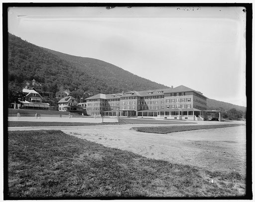 New Profile House, White Mts., N.H.