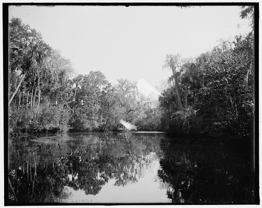 On the Tomoka River, Ormond, Fla.
