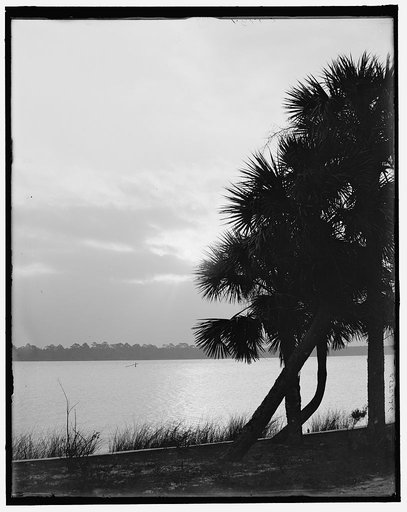 Sunrise or moonlight on the Halifax, Ormond, Fla.