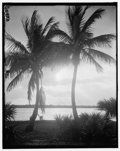 Sunset on Lake Worth, Palm Beach, Fla.