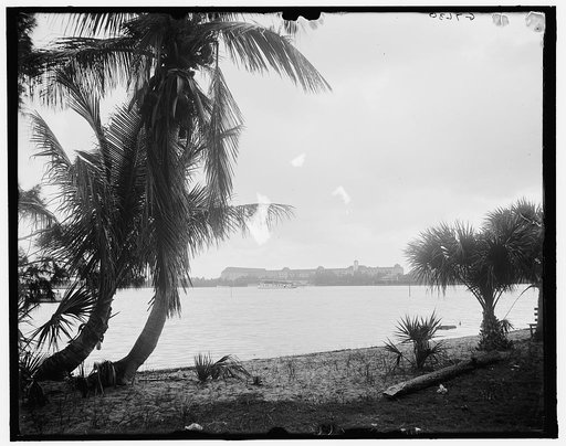 The Royal Poinciana from Lake Worth, West Palm Beach, Fla.