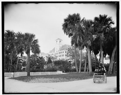 S.W. view, Royal Poinciana, Palm Beach, Fla.