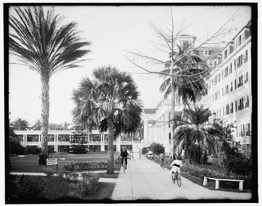 Along the west facade, Royal Poinciana, Palm Beach, Fla.