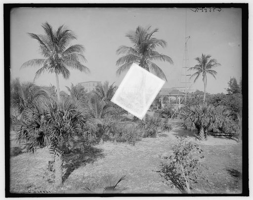 City park, West Palm Beach, Fla.