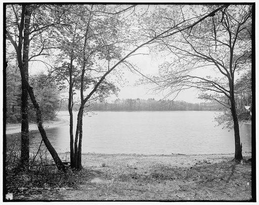 Thoreau's Cove, Concord, Mass.