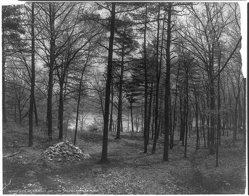 Site of Thoreau's hut, Lake Walden, Concord, Mass.