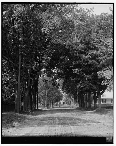 Pleasant Street, Laconia, N.H.