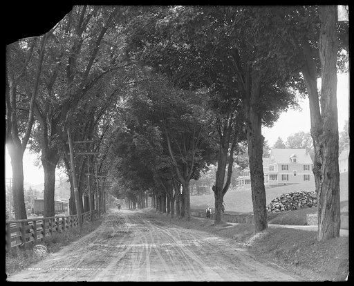 Main Street, Plymouth, N.H.