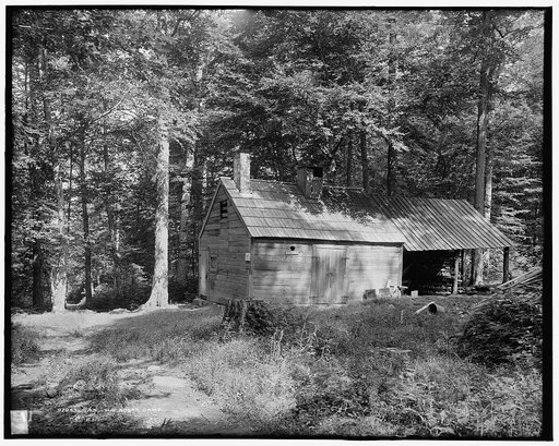 An Old sugar camp
