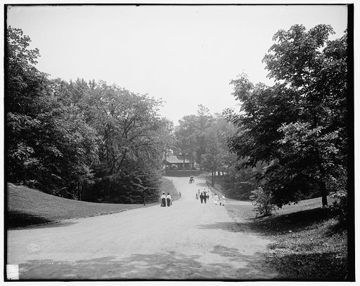 Drive in Forest Park, Springfield, Mass.