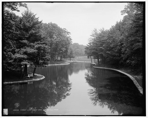 Mirror Lake, Forest Park, Springfield, Mass.