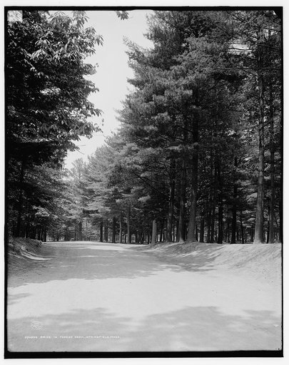 Drive in Forest Park, Springfield, Mass.
