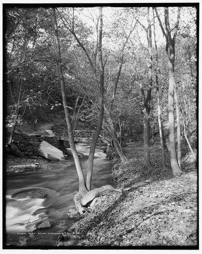 Glen below Minnehaha Falls, Minneapolis, Minn.