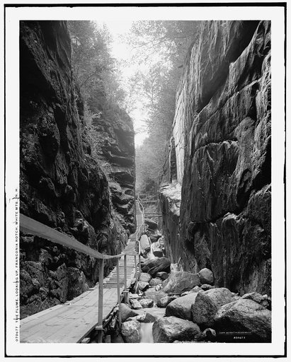 The Flume, looking up, Franconia Notch, White Mts., N.H.