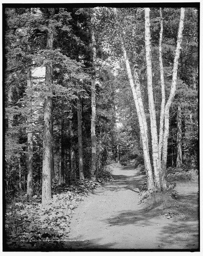 A Presque Isle [Park] roadway, Marquette, Mich.