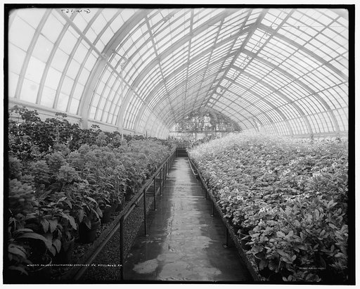 Phipps Conservatory, Schenley Pk. [Park], Pittsburg, Pa.