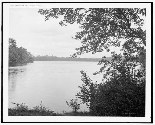 Lake Waban, Wellesley College, Mass.