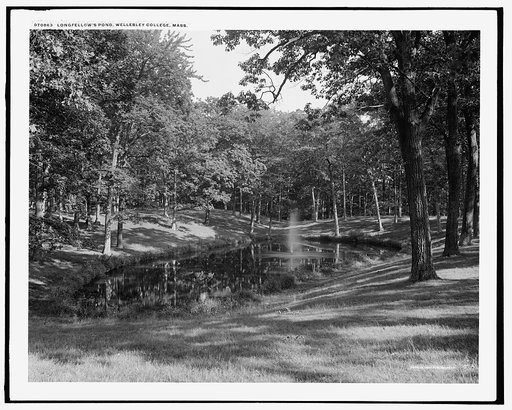 Longfellow's pond, Wellesley College, Mass.