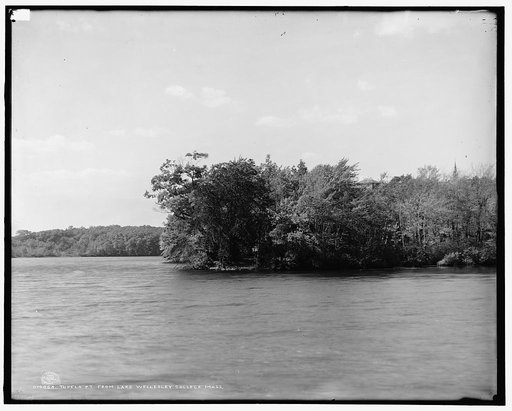 Tupelo Pt. [Point] from lake, Wellesley College, Mass.